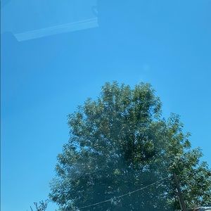 Meet your Posher, Jayden